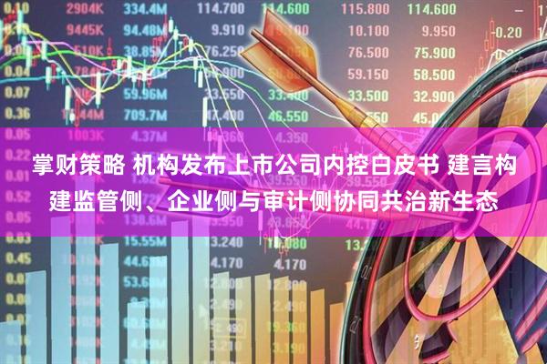 掌财策略 机构发布上市公司内控白皮书 建言构建监管侧、企业侧与审计侧协同共治新生态