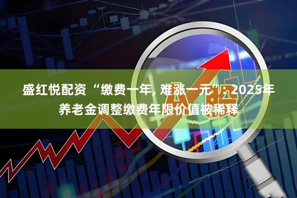 盛红悦配资 “缴费一年, 难涨一元”: 2025年养老金调整缴费年限价值被稀释