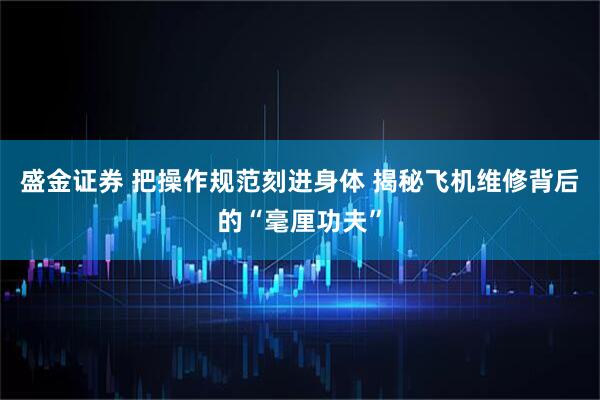 盛金证券 把操作规范刻进身体 揭秘飞机维修背后的“毫厘功夫”